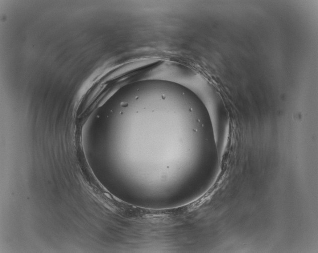 X0000065980150200603101431