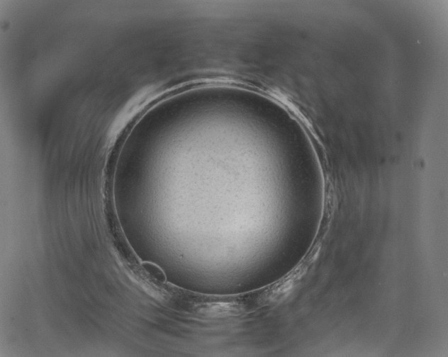 X0000065980151200603101431