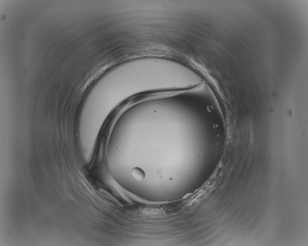 X0000065980154200603101431