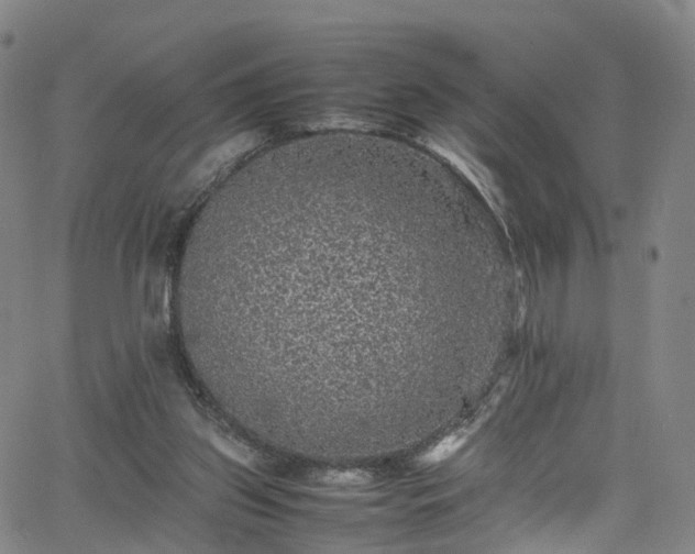 X0000065980157200603101431