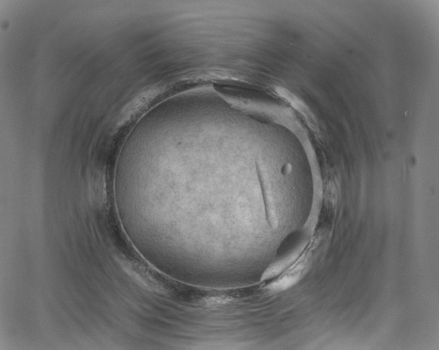 X0000065980158200603101431