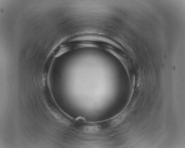 X0000065980160200603101431