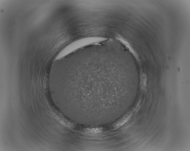 X0000065980161200603101431