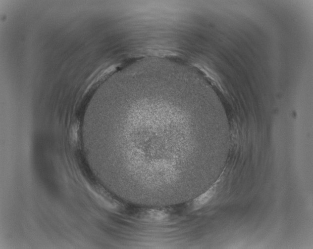 X0000065980166200603101431