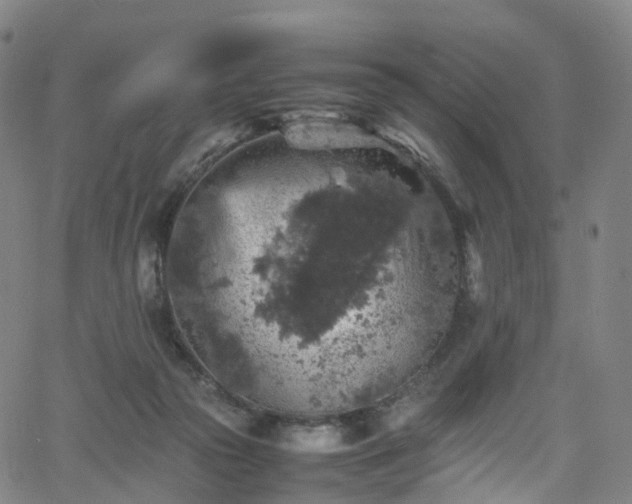 X0000065980169200603101431