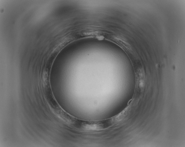 X0000065980171200603101431