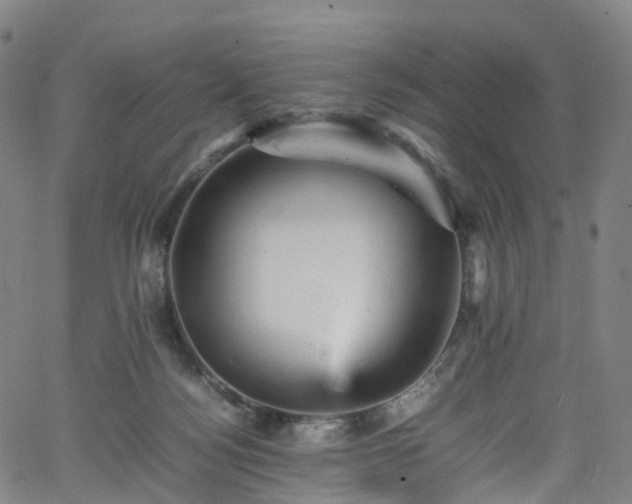 X0000065980172200603101431