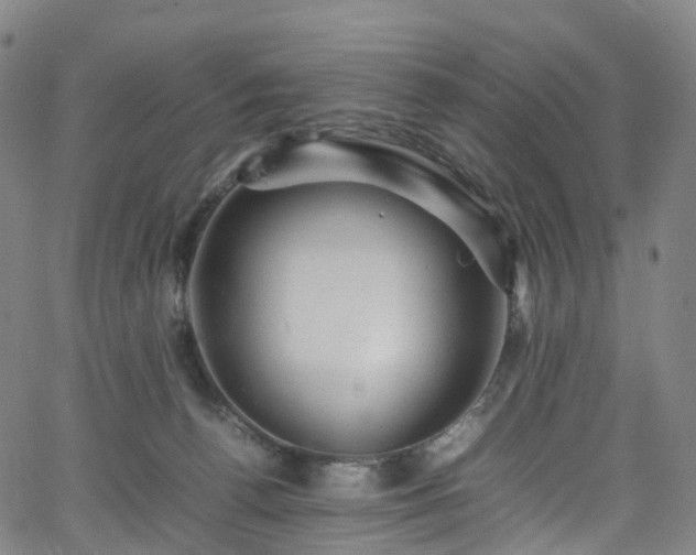 X0000065980176200603101431