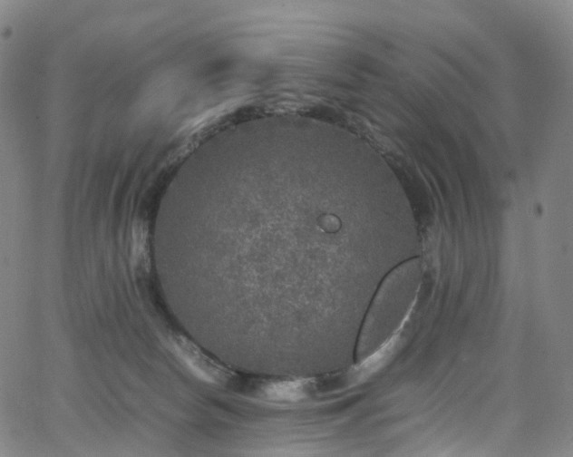 X0000065980178200603101431