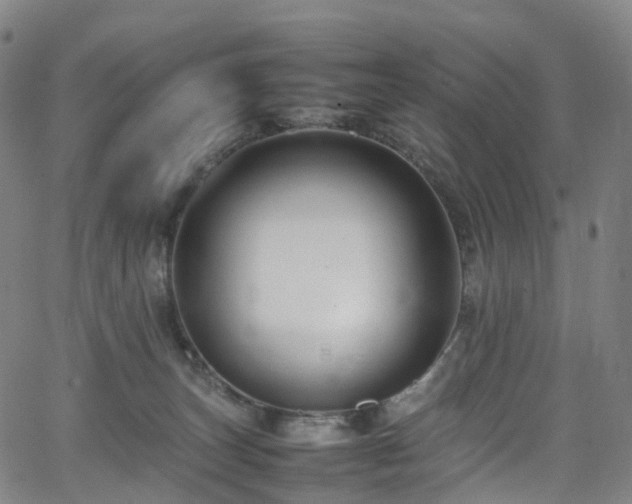 X0000065980179200603101431