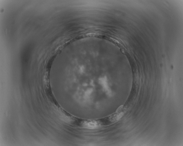 X0000065980181200603101431