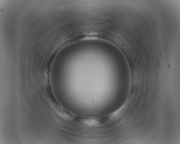 X0000065980183200603101431