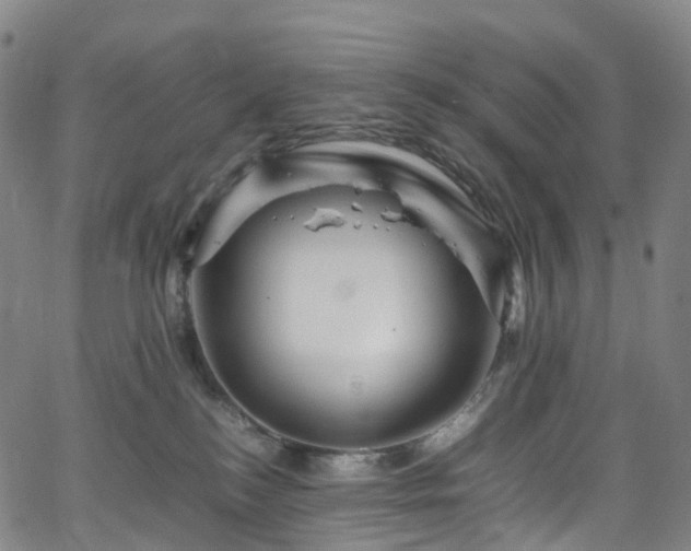 X0000065980184200603101431