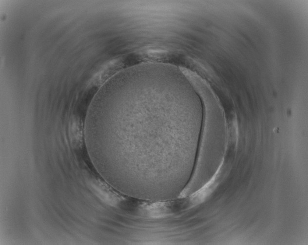 X0000065980186200603101431