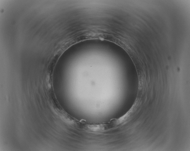 X0000065980187200603101431