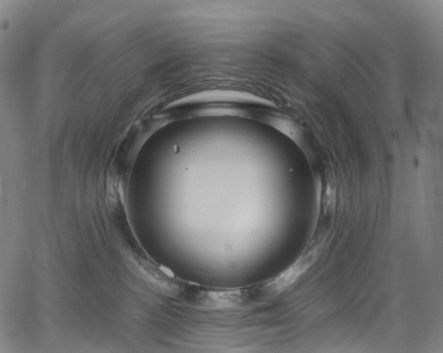 X0000065980188200603101431