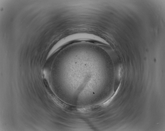 X0000065980190200603101431