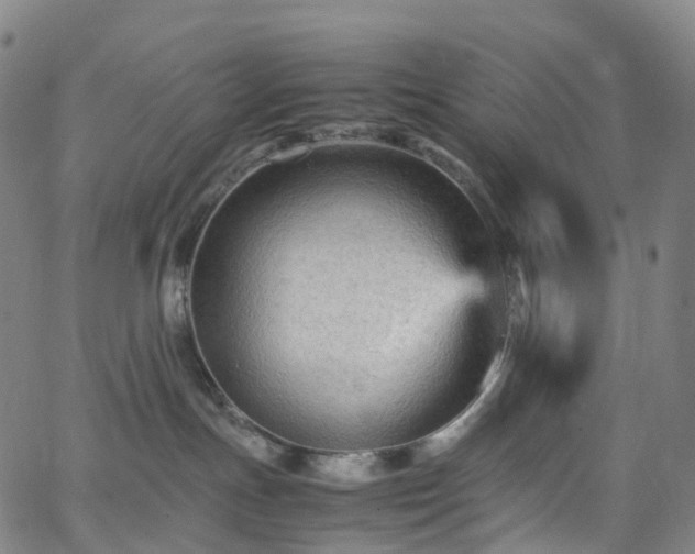 X0000065980191200603101431