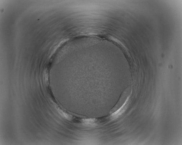 X0000065980192200603101431