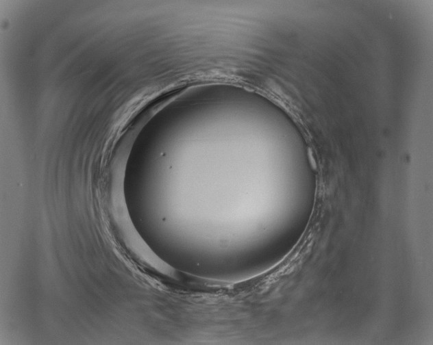 X0000065980193200603101431