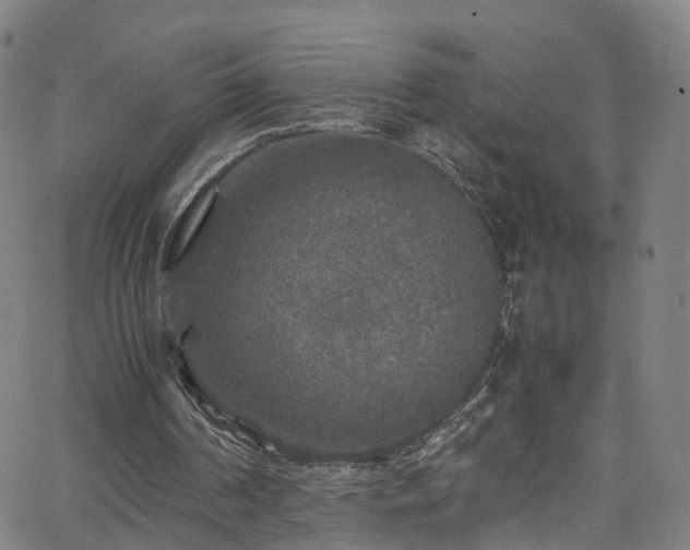 X0000065980194200603101431