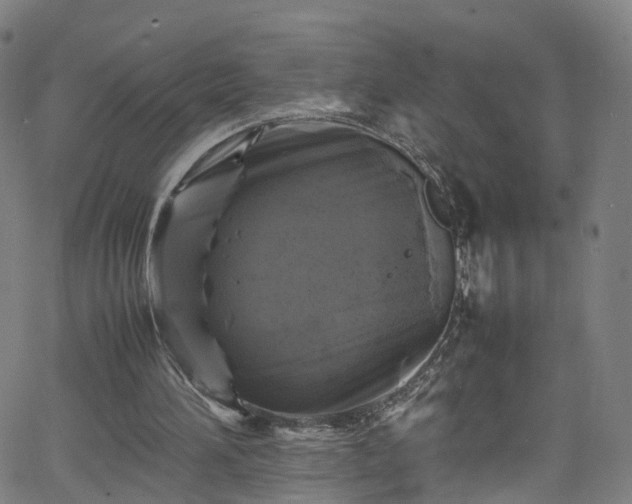 X0000065980196200603101431