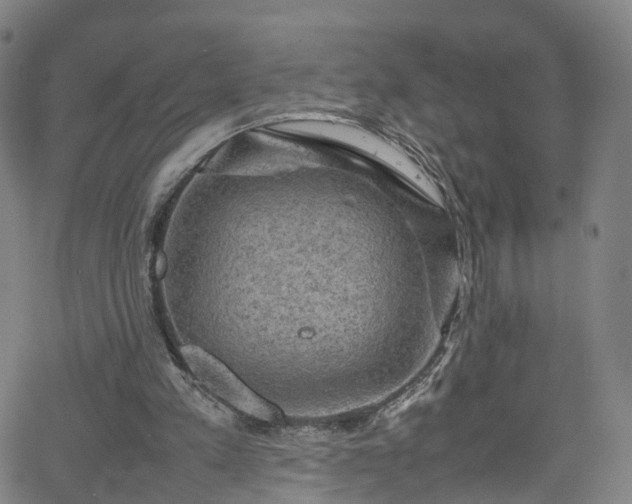 X0000065980197200603101431