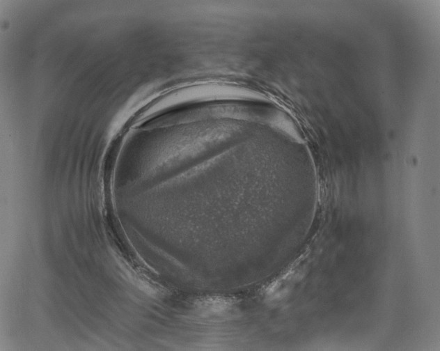 X0000065980198200603101431