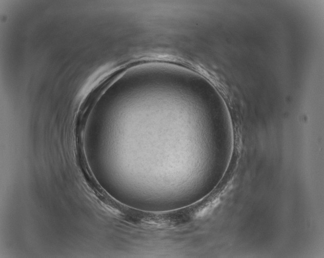 X0000065980199200603101431