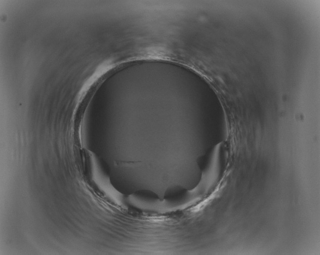 X0000065980200200603101431