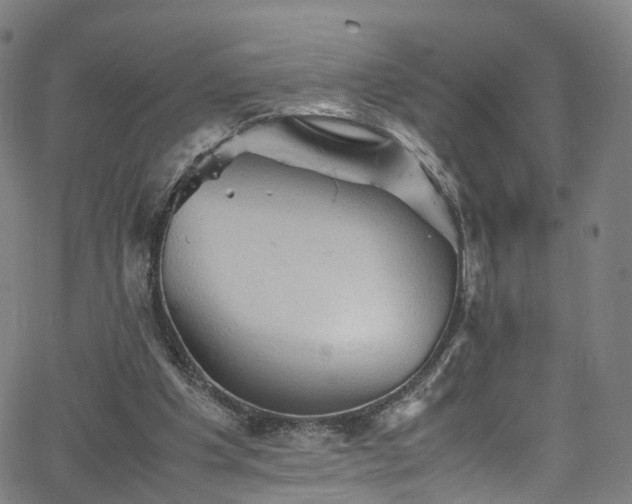 X0000065980201200603101431