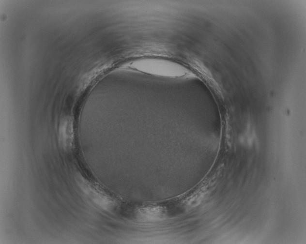 X0000065980202200603101431