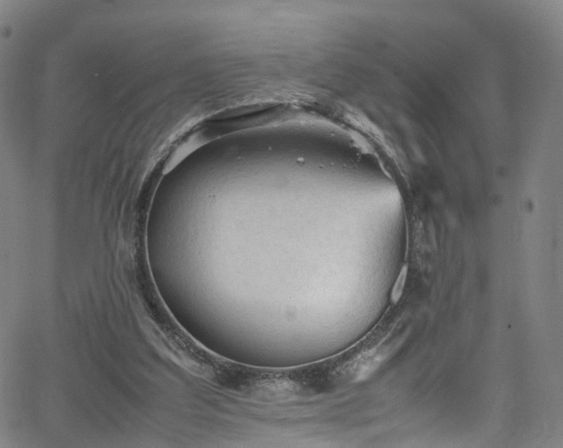 X0000065980203200603101430