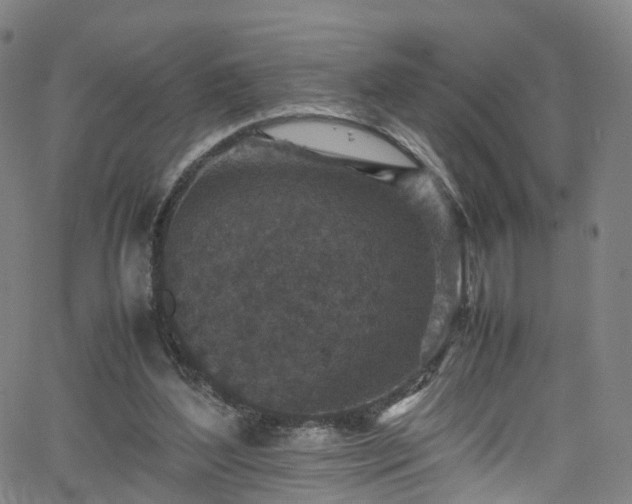 X0000065980204200603101430