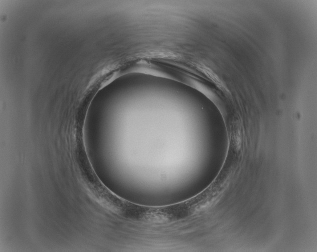 X0000065980207200603101430