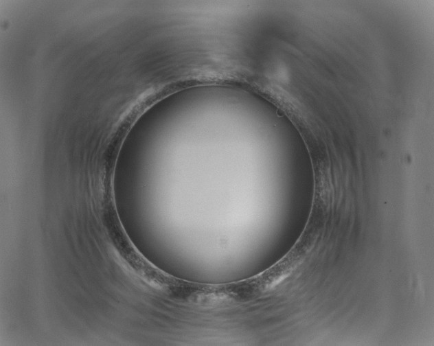 X0000065980208200603101430