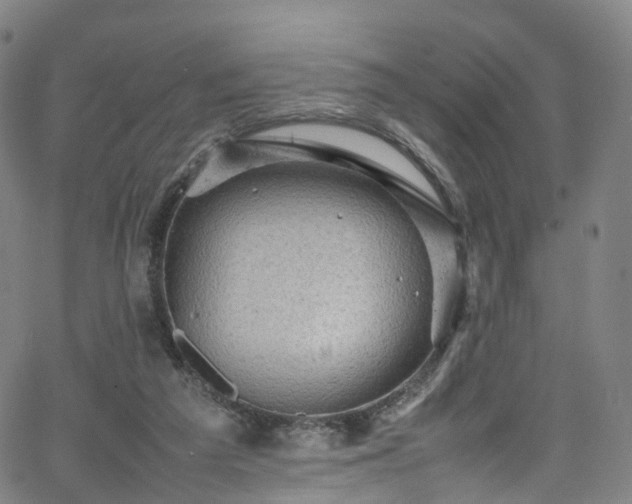 X0000065980209200603101430