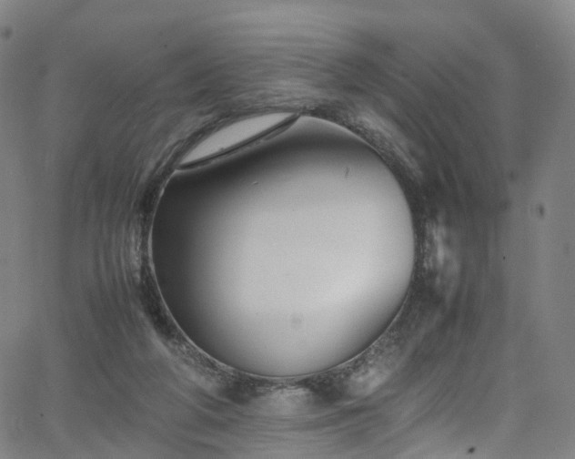 X0000065980210200603101430