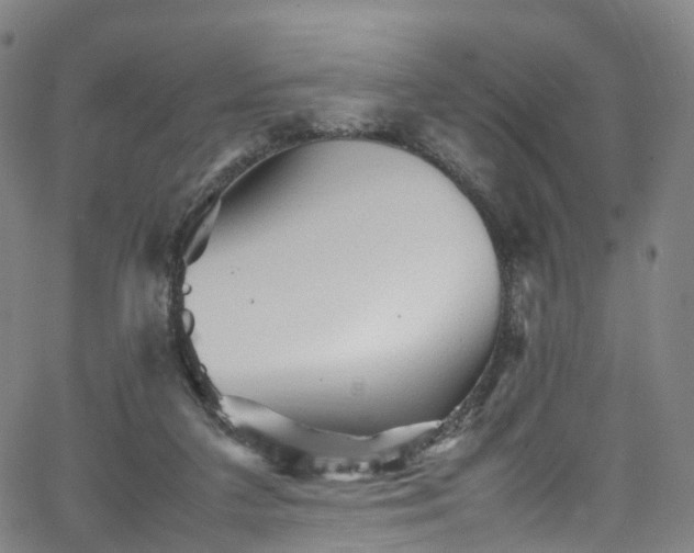 X0000065980211200603101430