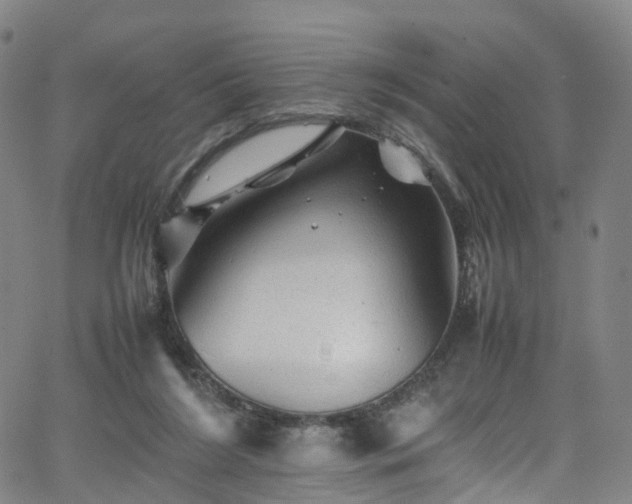 X0000065980212200603101430