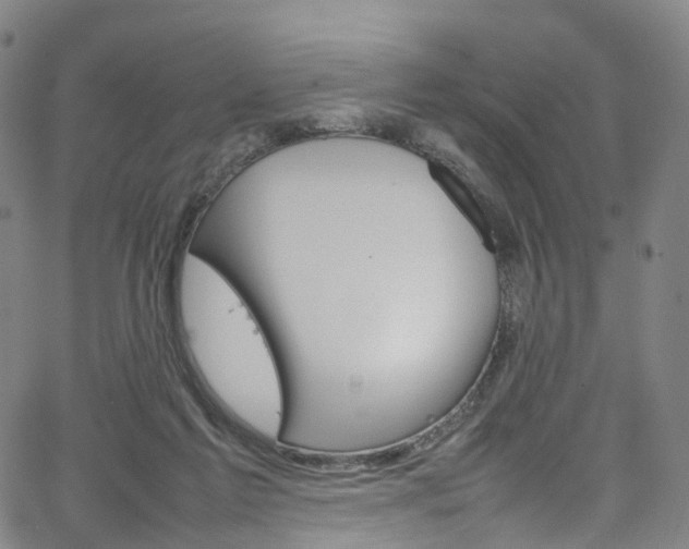 X0000065980213200603101430