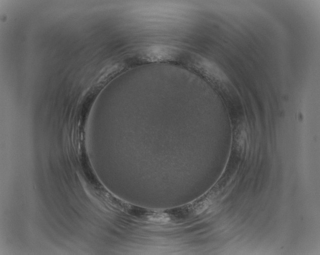 X0000065980214200603101430