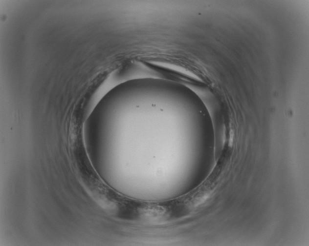 X0000065980215200603101430