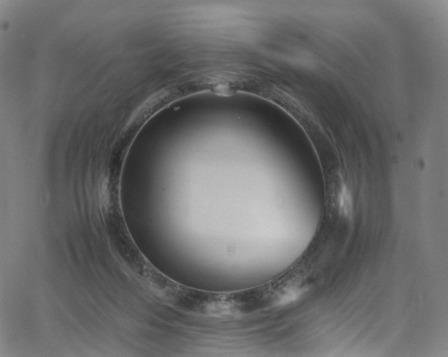 X0000065980216200603101430