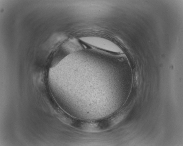 X0000065980217200603101430