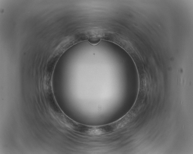 X0000065980218200603101430