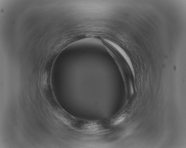 X0000065980219200603101430