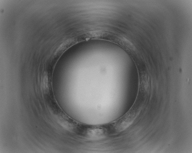 X0000065980220200603101430