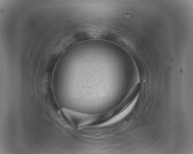 X0000065980221200603101430