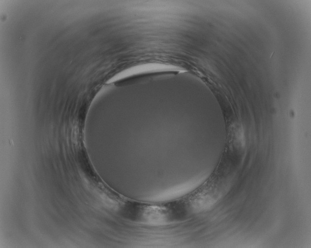 X0000065980222200603101430